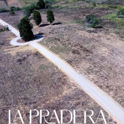 LOTE EN VENTA EN CURITI VEREDA PALO BLANCO BAJO