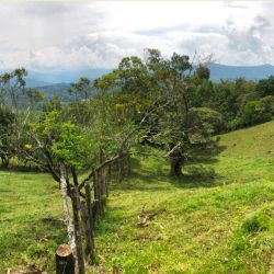 PARCELA VISTA HERMOSA EN CHARALA