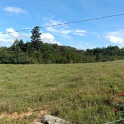 PARCELA EN EL ZAMORANO