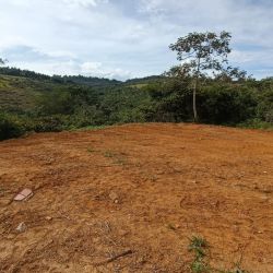 PARCELA EN LA VEREDA SAN CARLOS