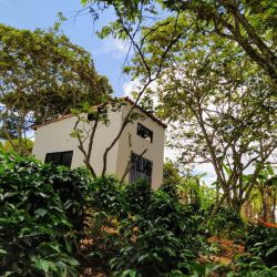 CASA CAMPESTRE PALO BLANCO ALTO