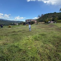 LOTE EN LLANO DE NAVAS CURITI
